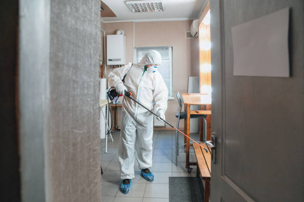 Trusted Wekiwa Springs, FL Mold Removal Experts